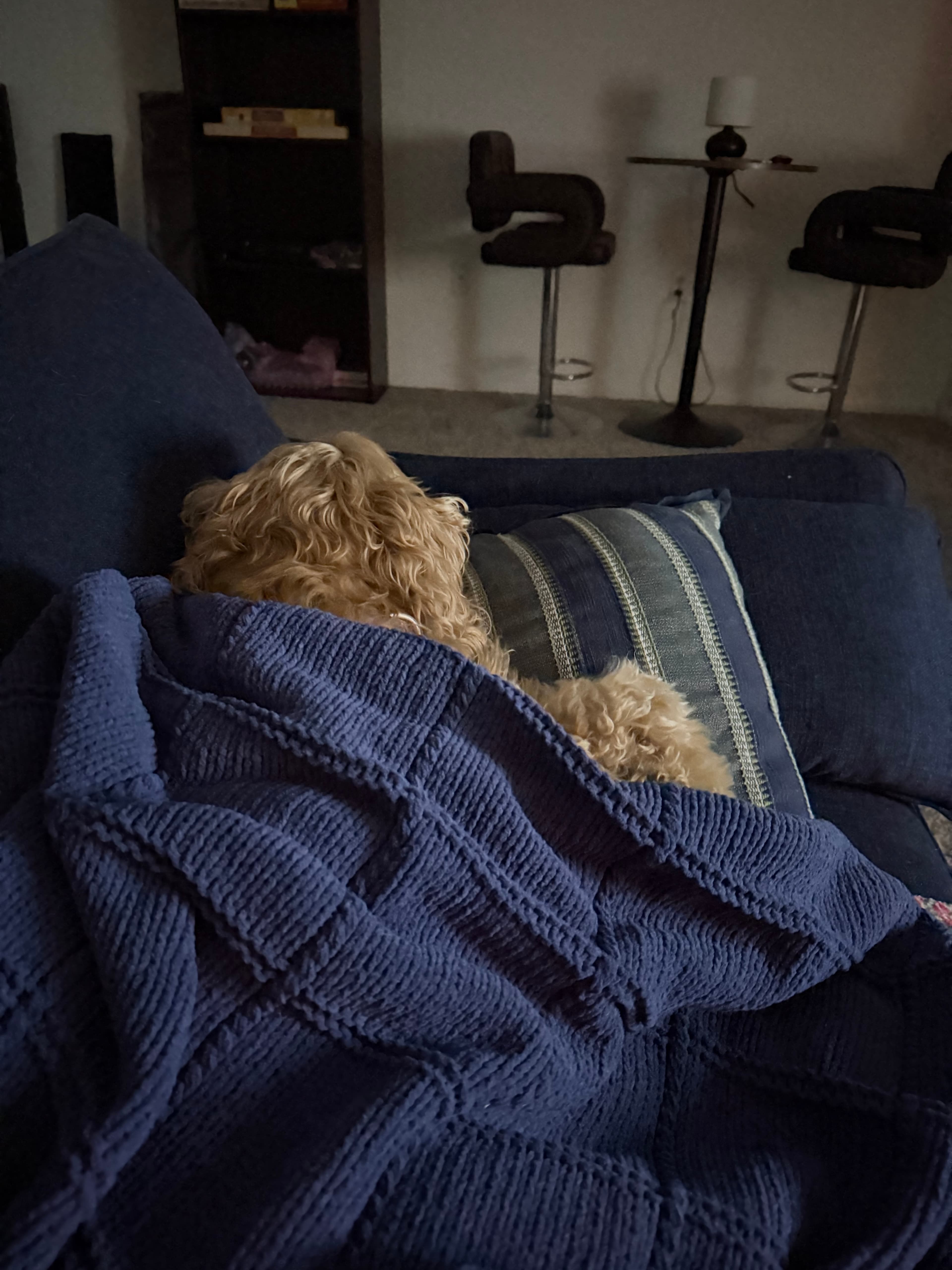 Zzzz...: ...zzzZzzZzzz...